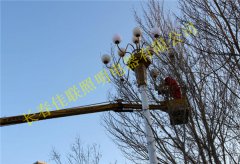 長(cháng)春市上海路路燈工程